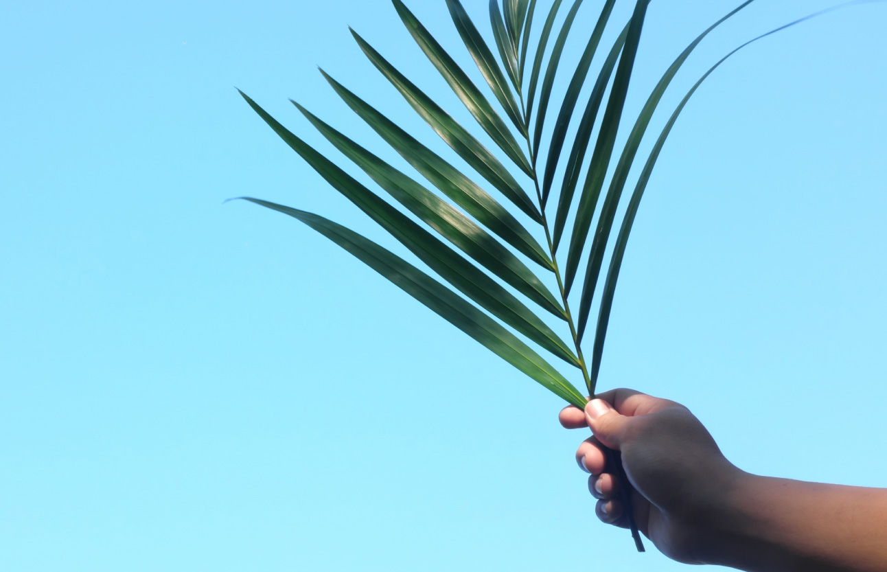 Domingo de Ramos